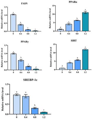 Positive effects of Mulberry leaf extract on egg quality, lipid metabolism, serum biochemistry, and antioxidant indices of laying hens